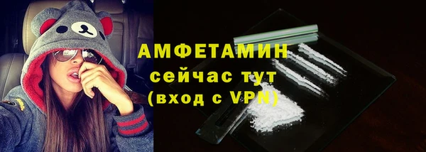 spice Богородск