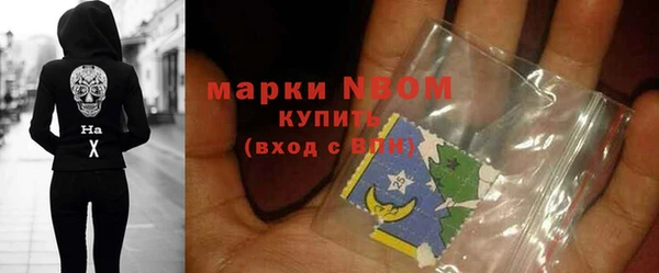 сатива Беломорск