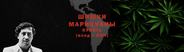 сатива Беломорск