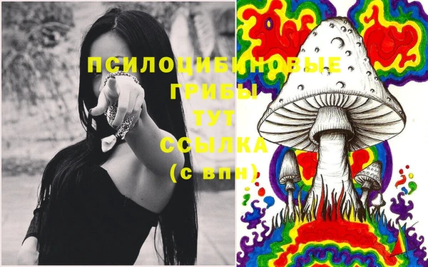 сатива Беломорск